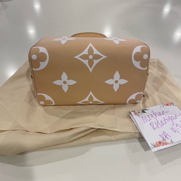 Brand new never carried Louis Vuitton Speedy 25 By the Pool Brume - Picture 6 of 9